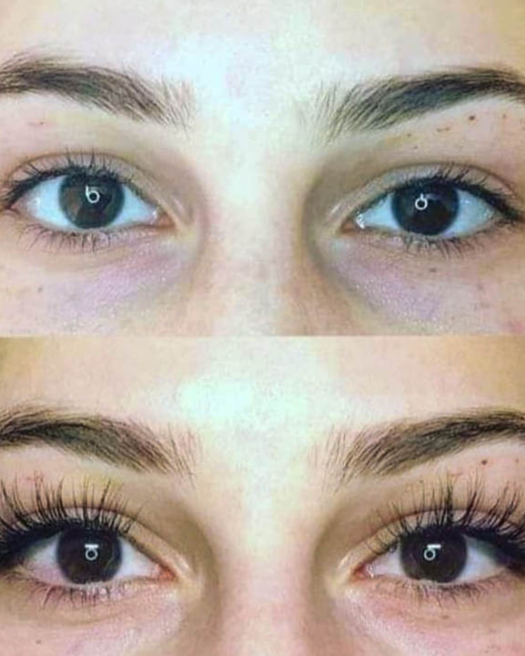 Imagem do WhatsApp de 2025-03-11 à(s) 11.26.28_aaf4d976